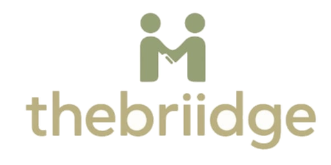 TheBriidge (the briidge) — logo
